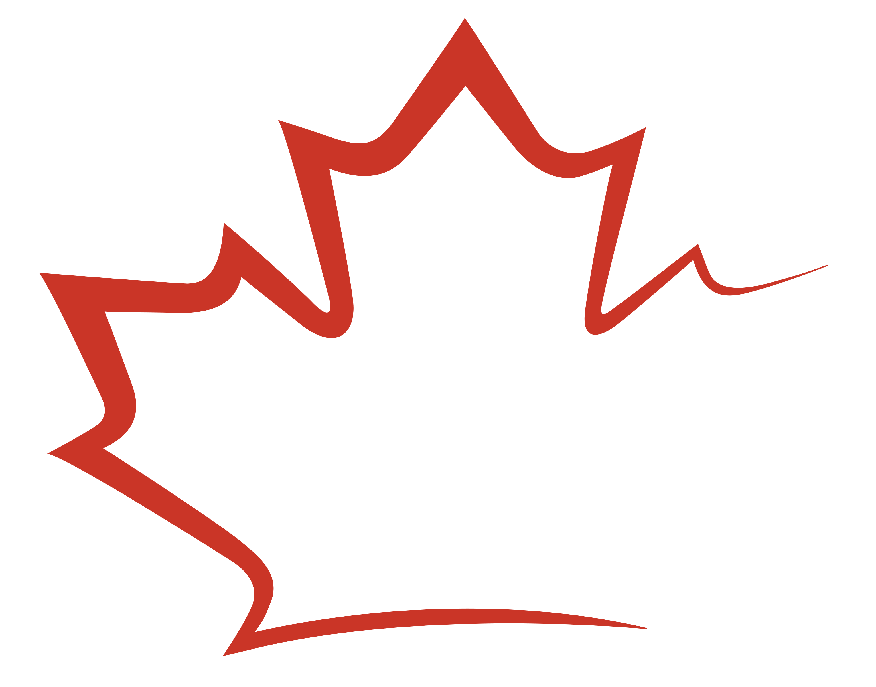 TPC-icon-v2